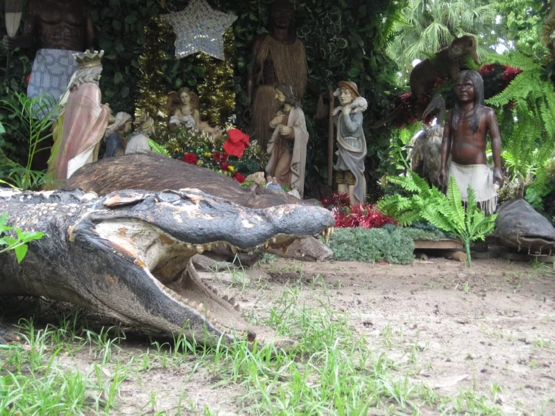 A Jungle Nativity