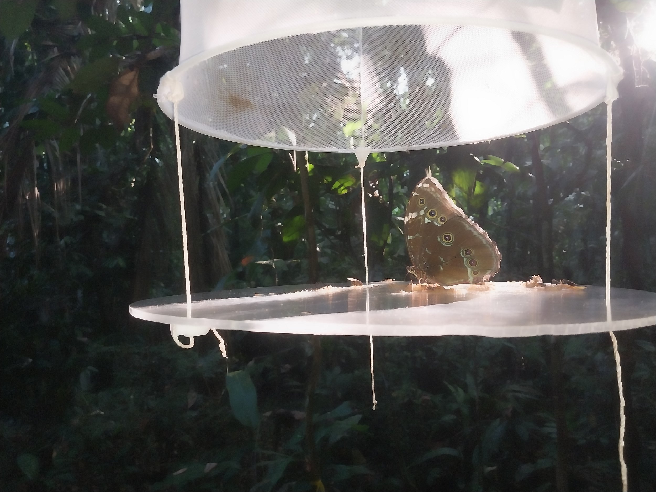 Anglia Ruskin University field biology course  (Copy)