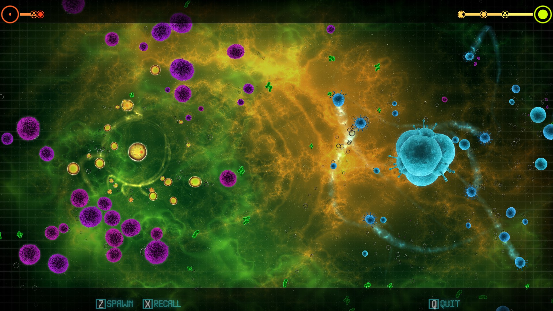 The Purple Reign of Terror