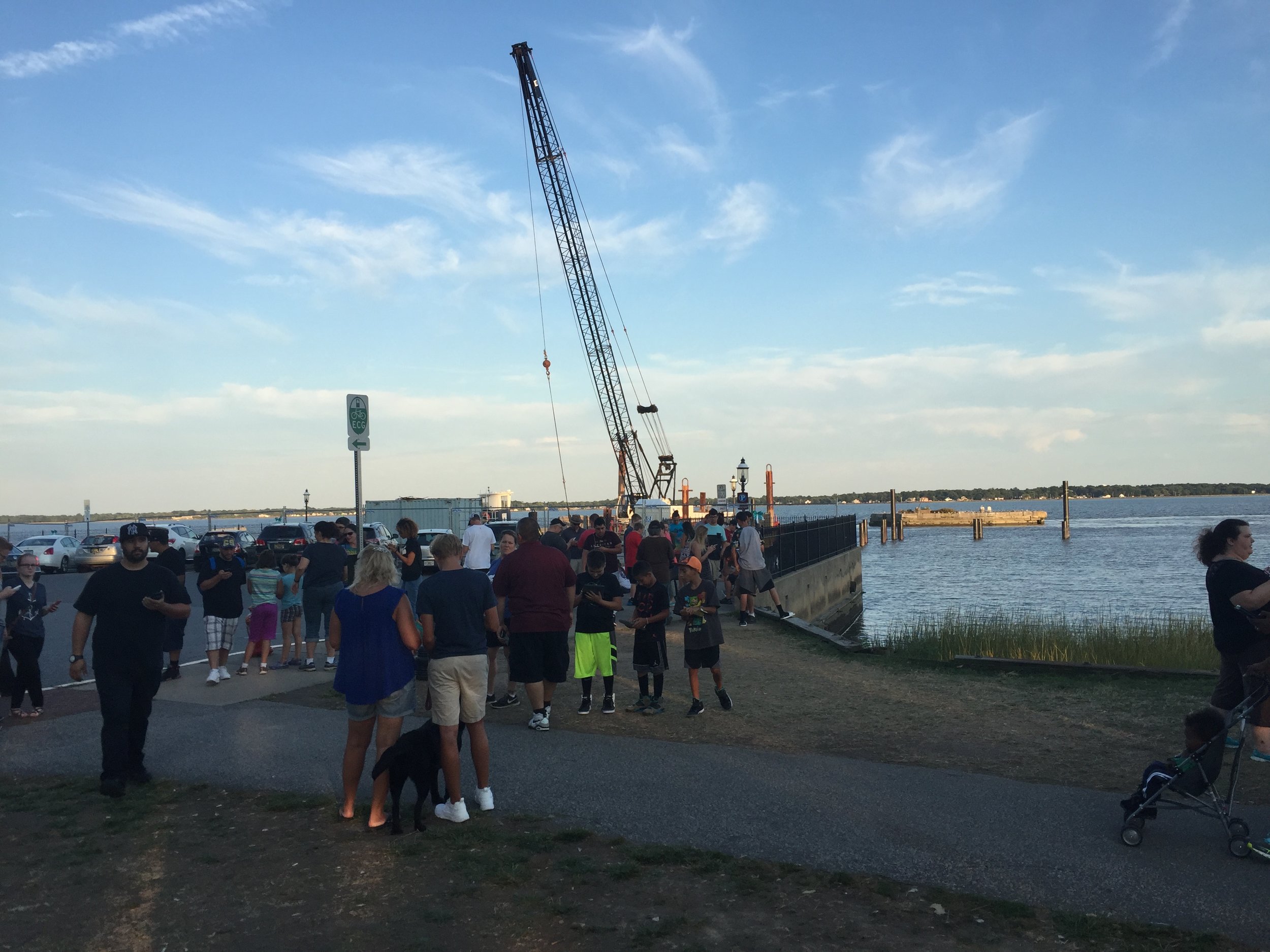 Dozens of people in one section of the park trying to catch some rare Pokemon.