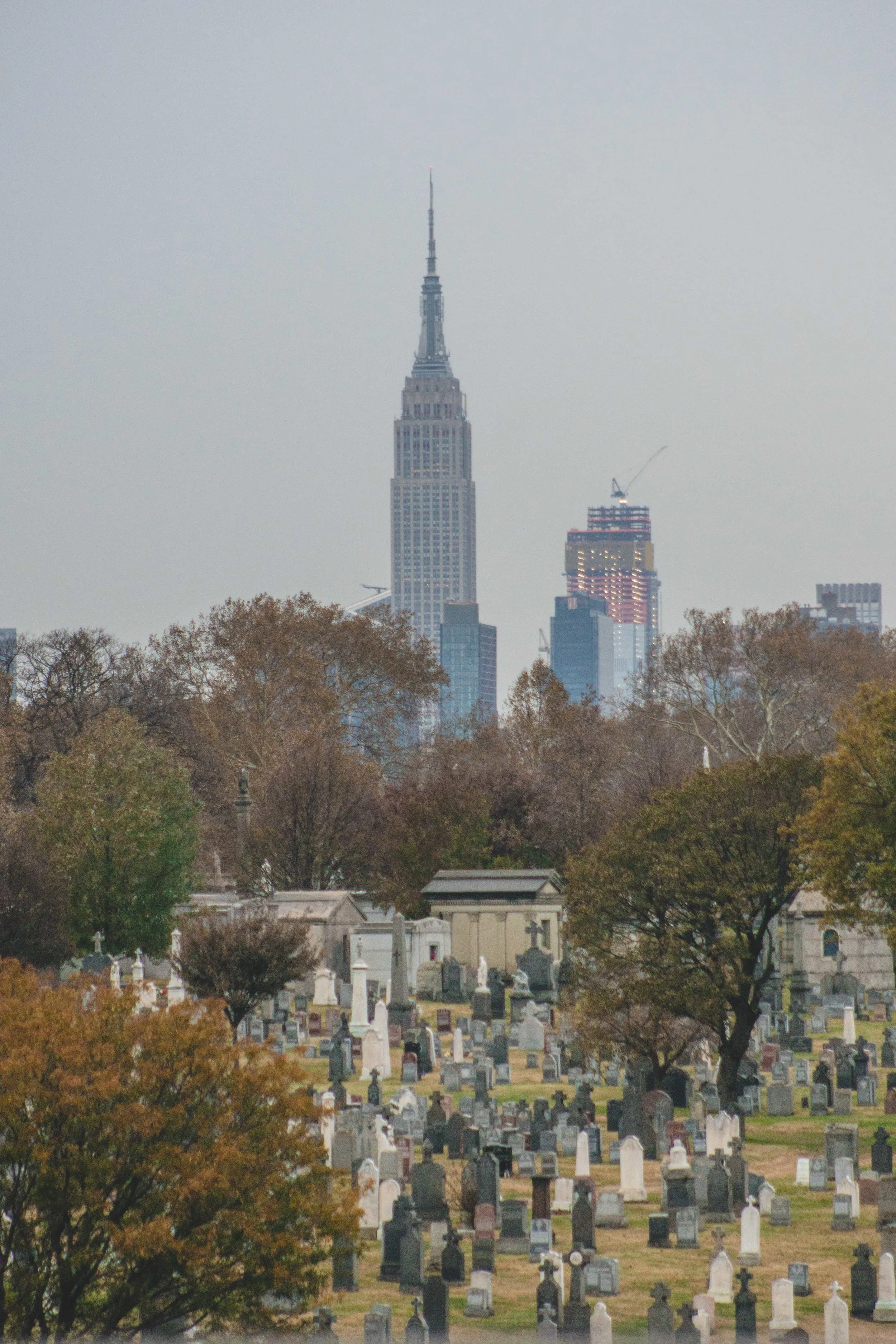 by Mike Lavin @TheHomelesspimp-65.jpg