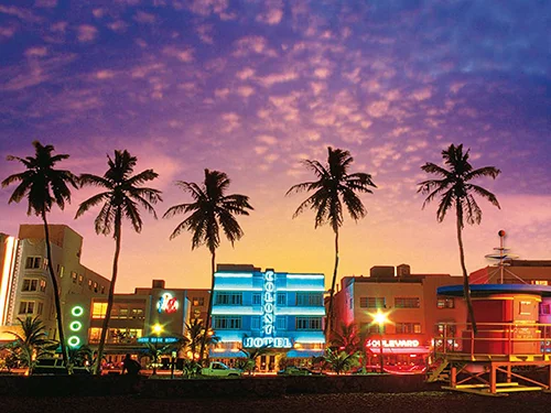 CAL_FLORIDA_Banner 2.jpg