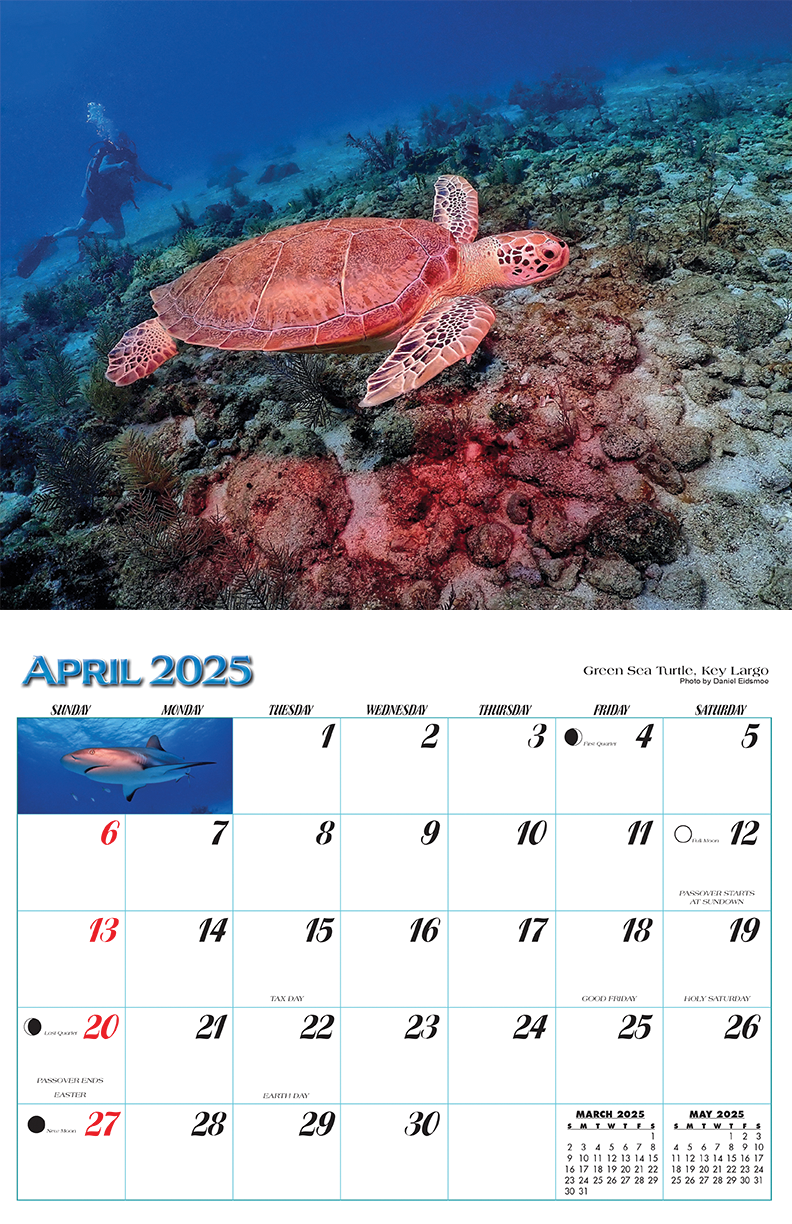 Template for months 5.png