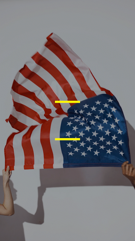 Citizen ship Test Vertical.gif