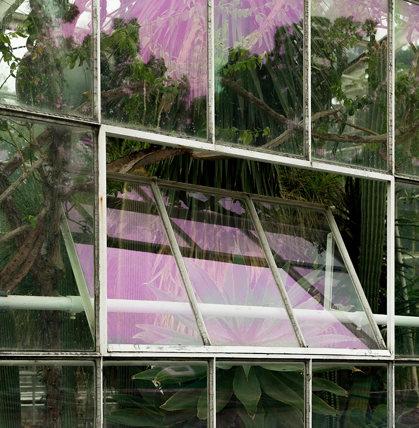 DSC_5251_FreshFruit001.jpg