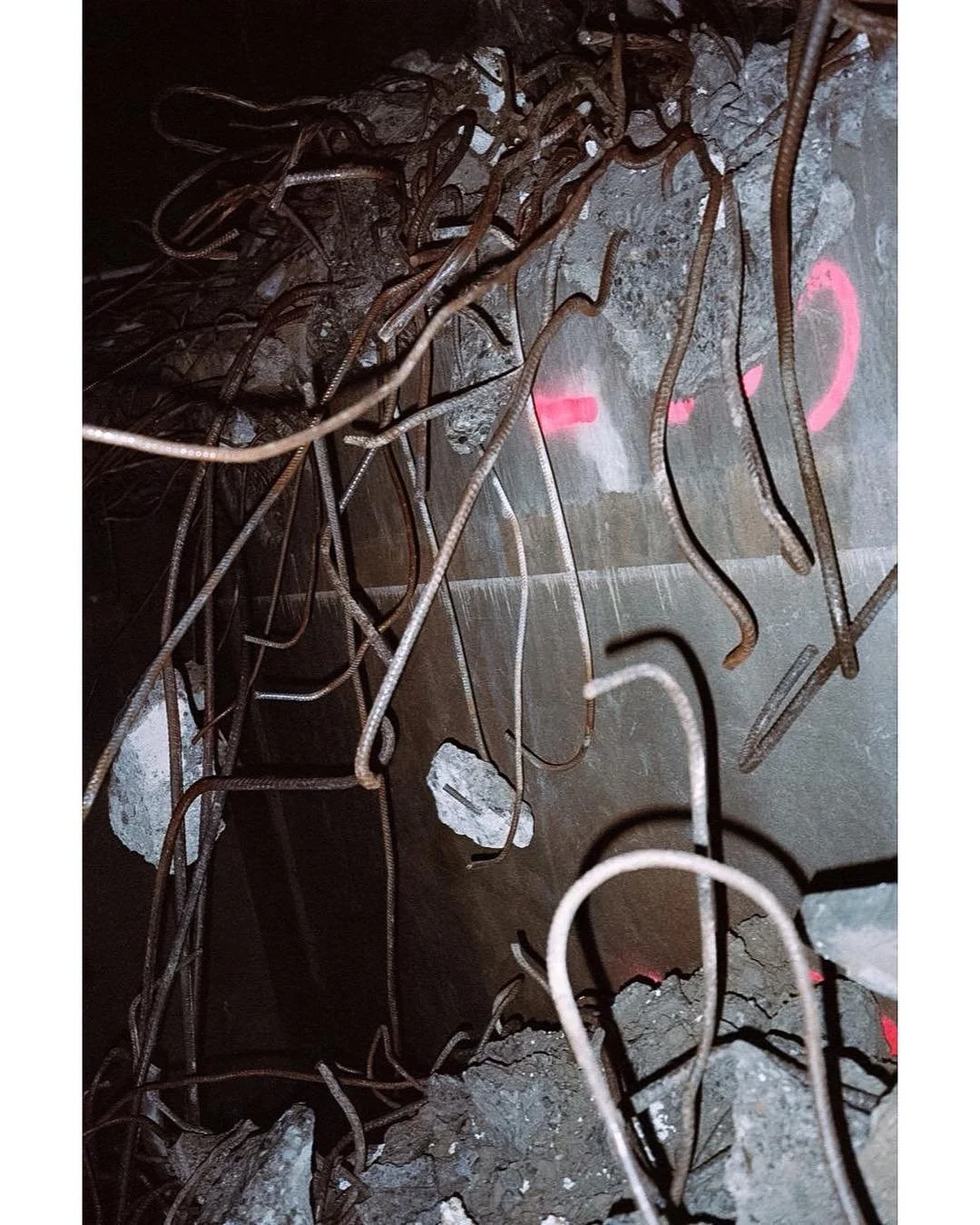 Lessgo wild! 2019
.
.
.
#35mm #hurtlamb #buyfilm #broadmag #ishootfilm #dazedandexposed #etczine #n8zine #aintbad #ishootfilm #expiredfilm #lucecurated #thirtyfuckingfivemilimeters #somewheremagazine #indiefilmlab
