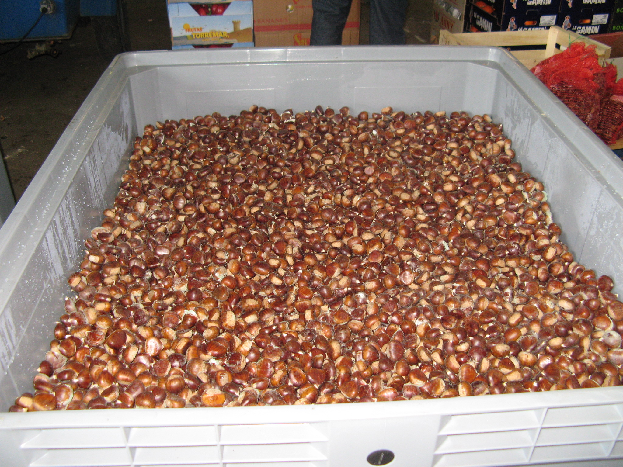 Chestnuts