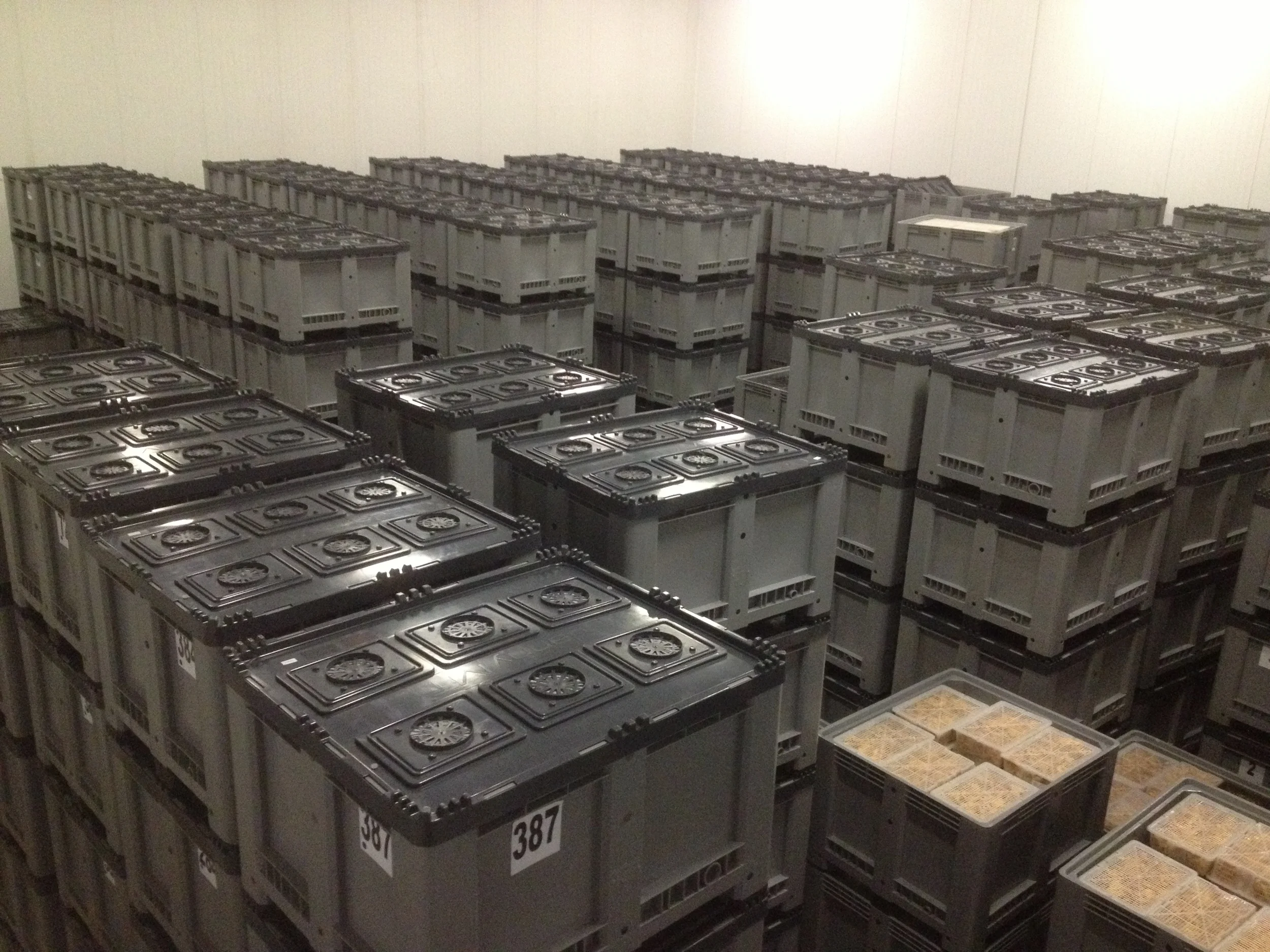 Controlled Atmosphere Storage — JMT US, LLC