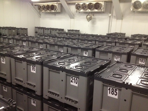 Publication in Good Fruit Grower