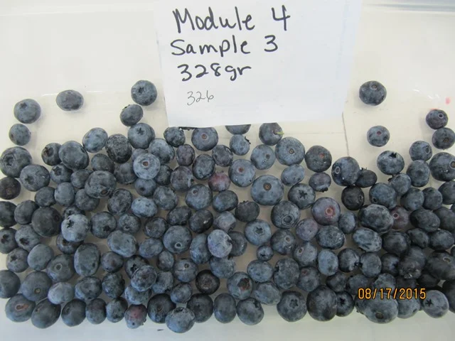 Janny MT module features in AgInnovation Ontario (Canada)