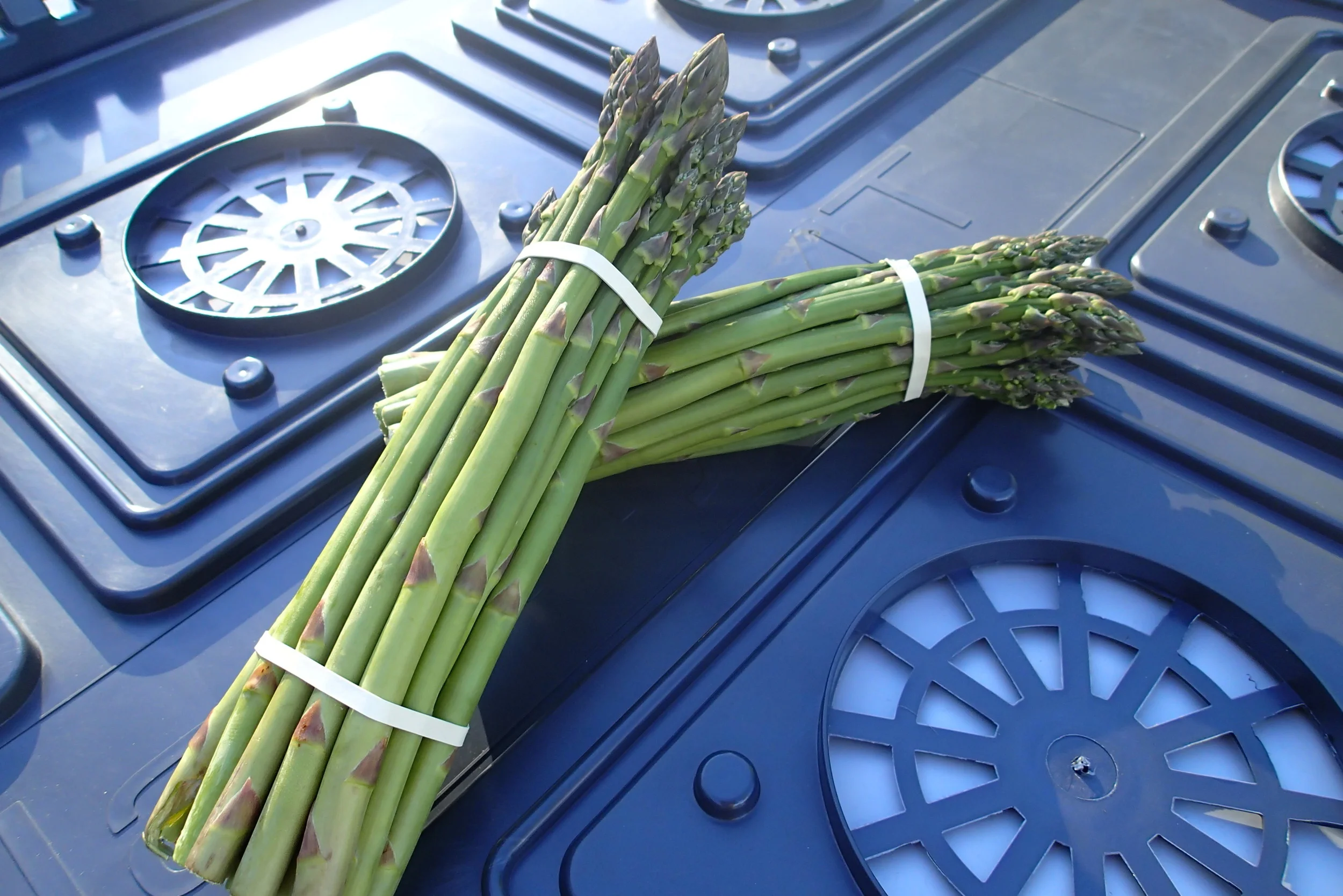 Asparagus season is starting: Be ready for storage !