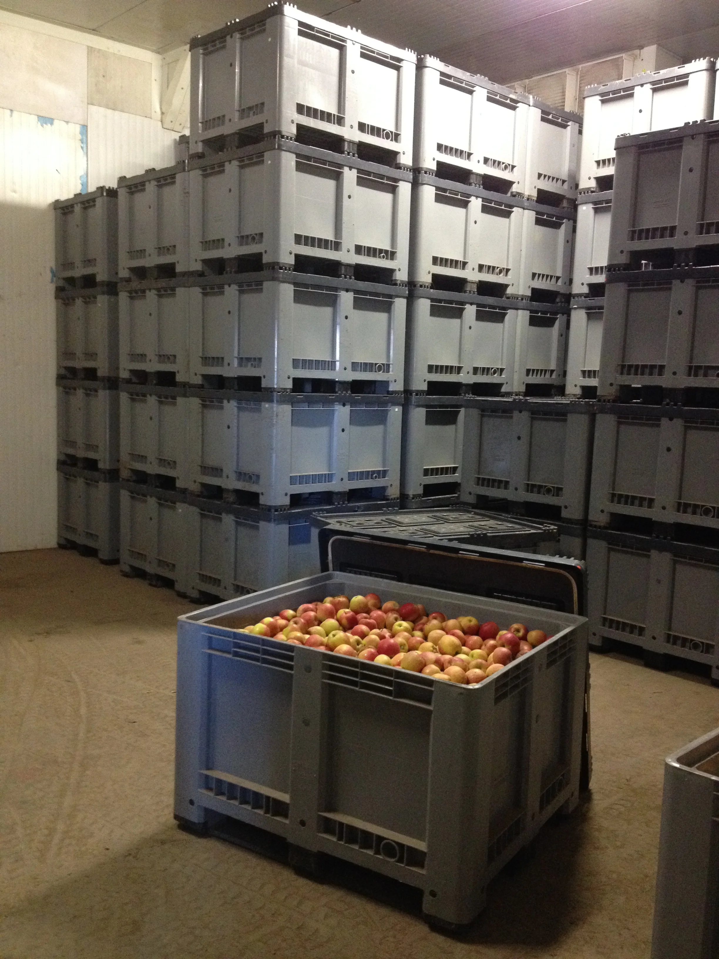 Apple season is coming soon