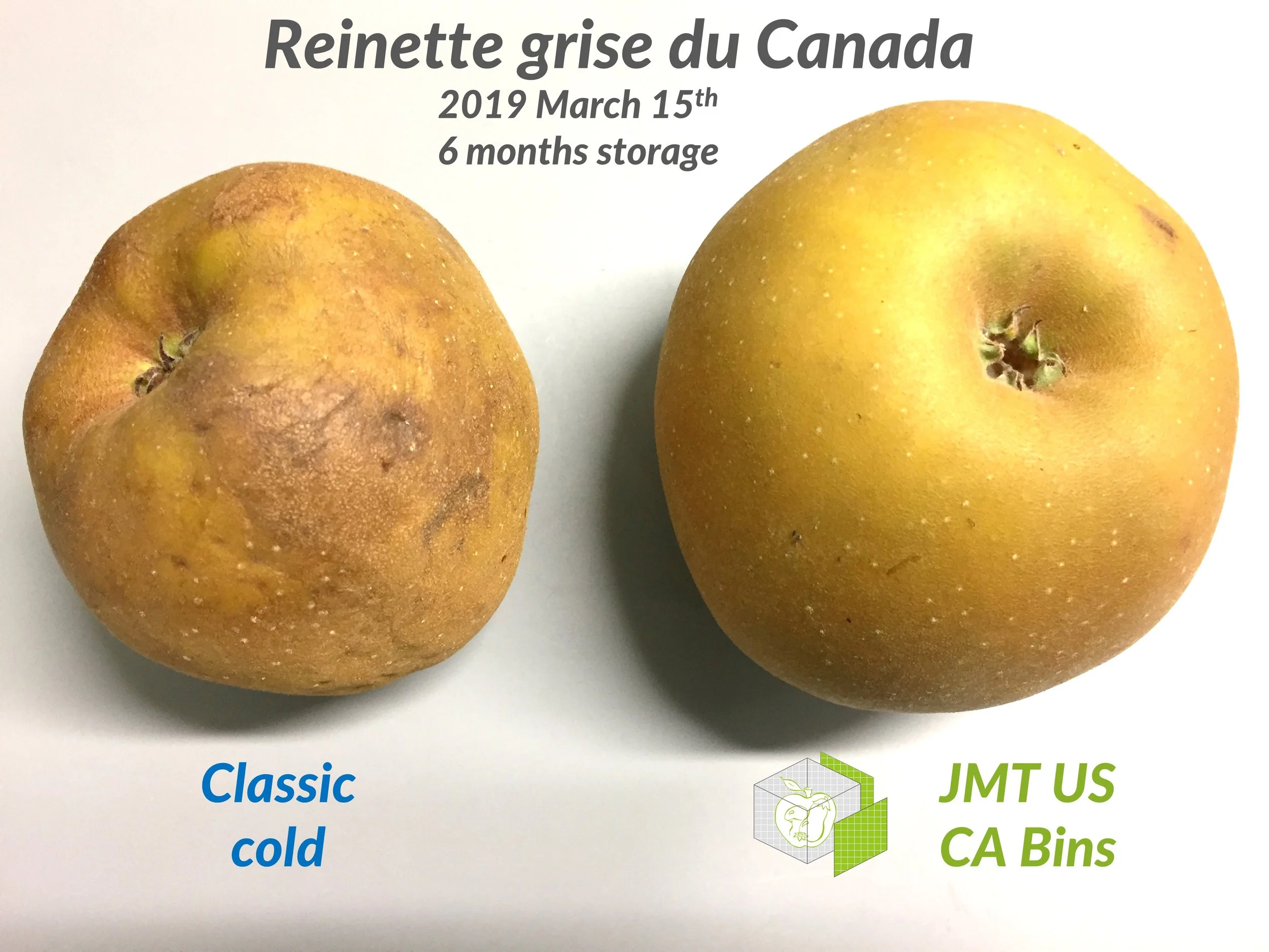 Apples storage: new results in photos