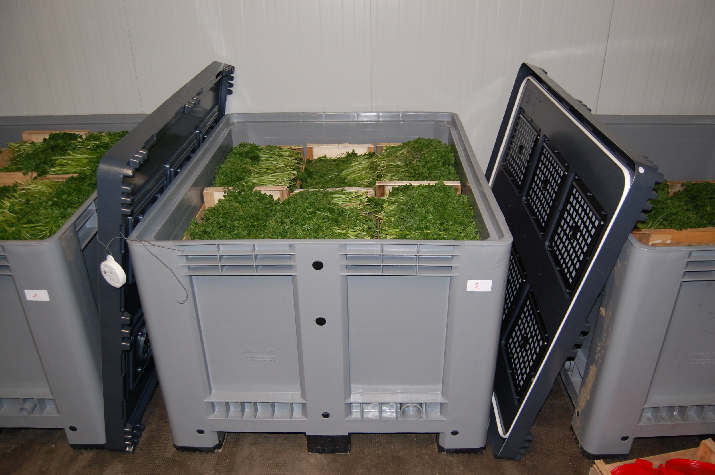JMT US_Parsley storage.jpg