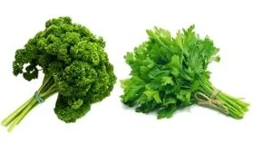 Aromatic plants: here comes Parsley storage