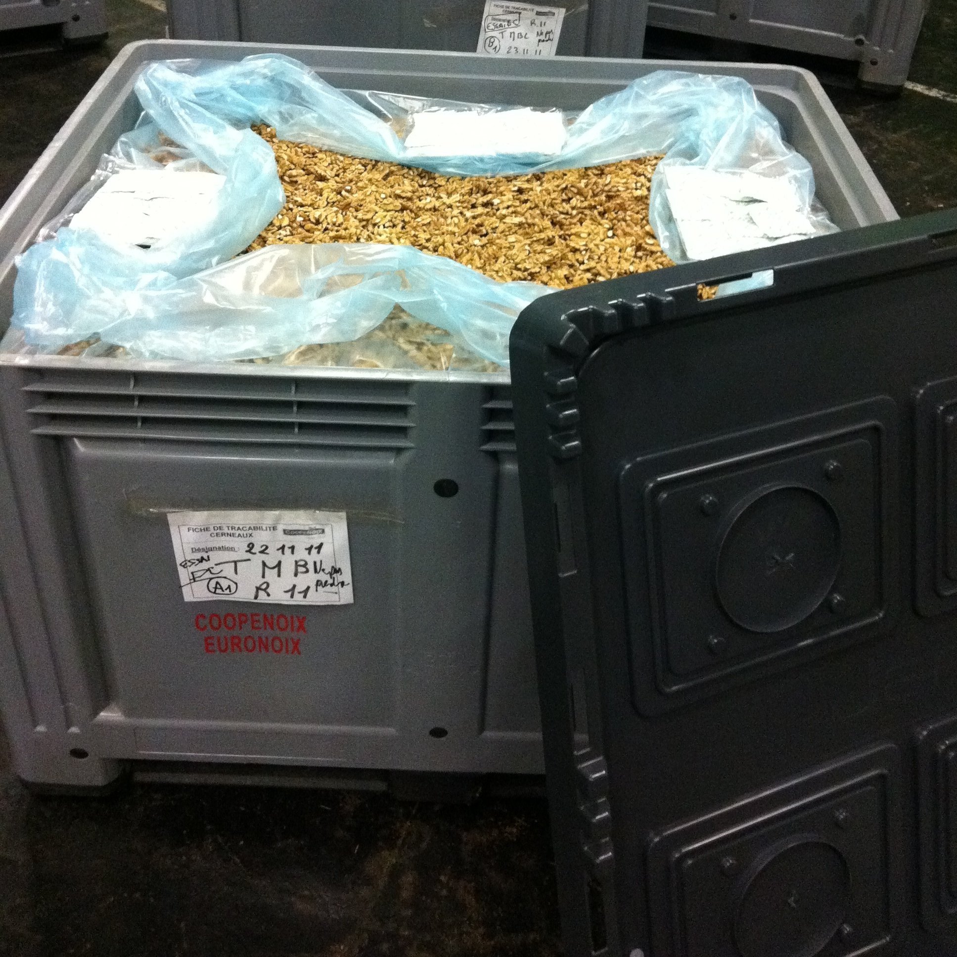 Walnuts with O2 Absorber