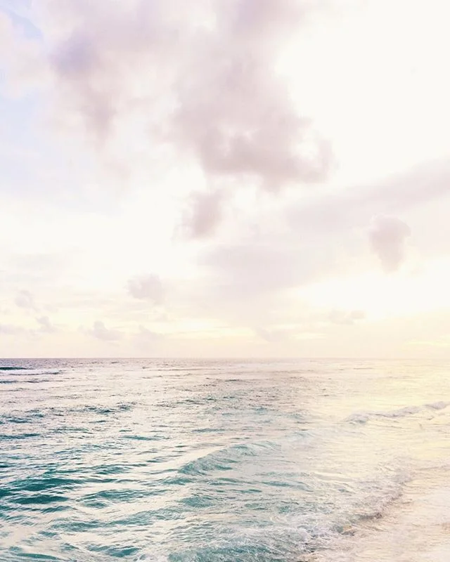 How To Pick The Best Squarespace Template Wonderfull