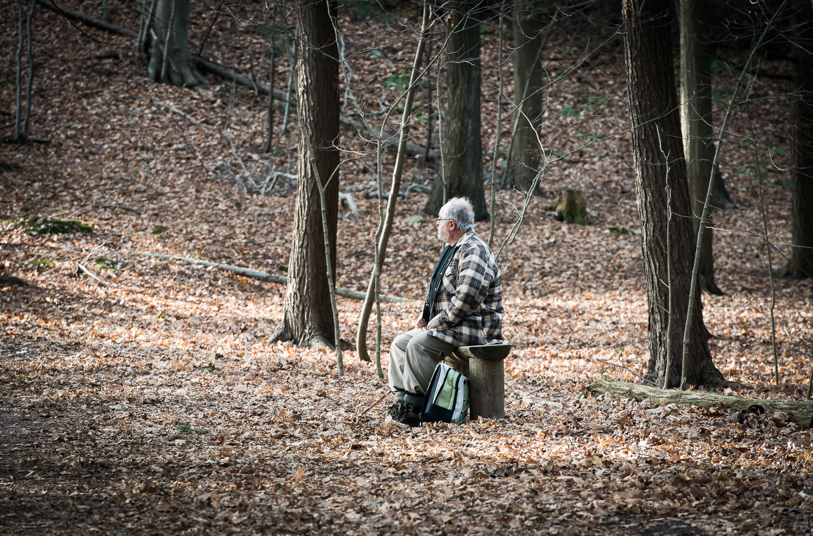 Man in forest (1 of 1).jpg