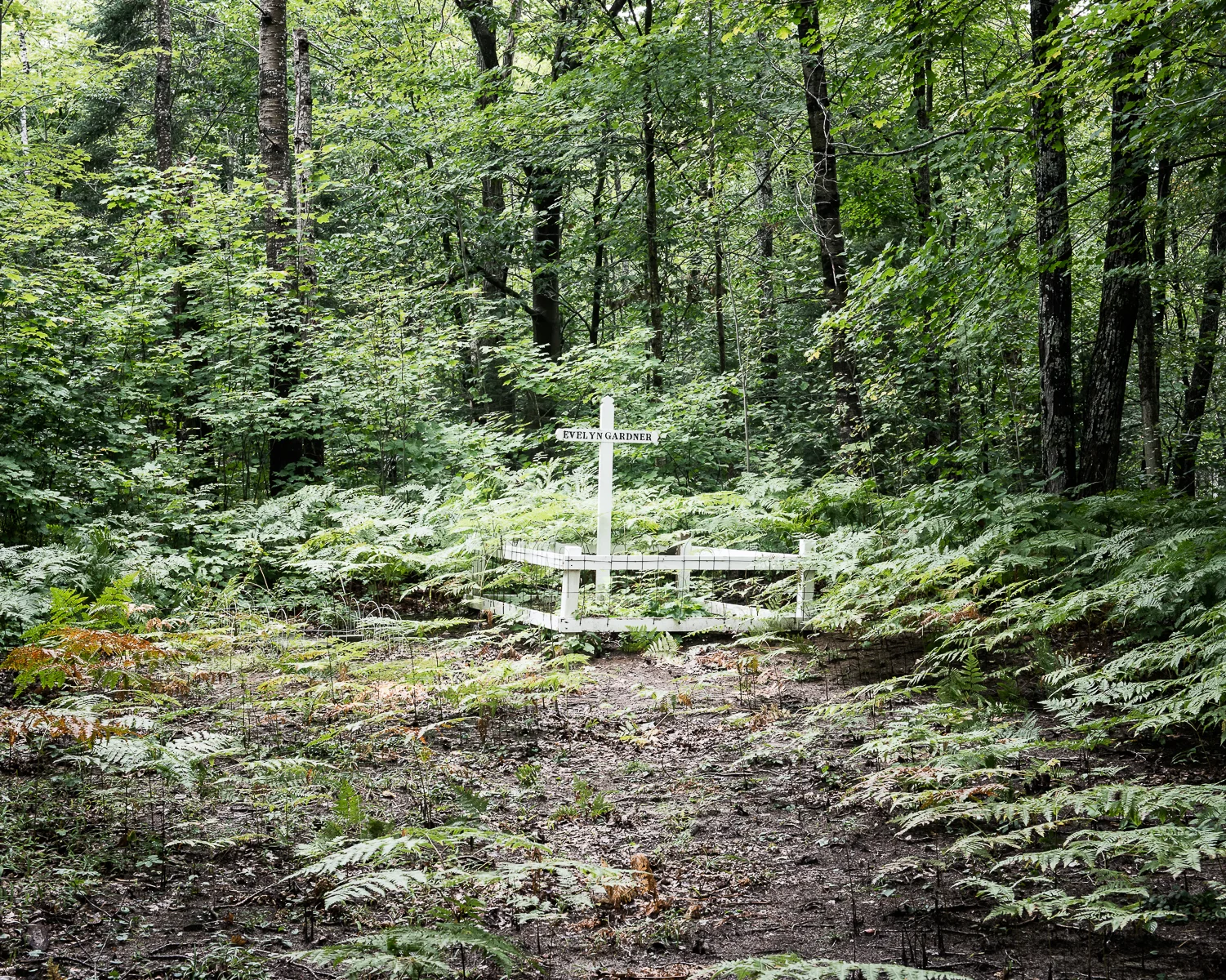 North Ontario Trees and Grave (1 of 1).jpg