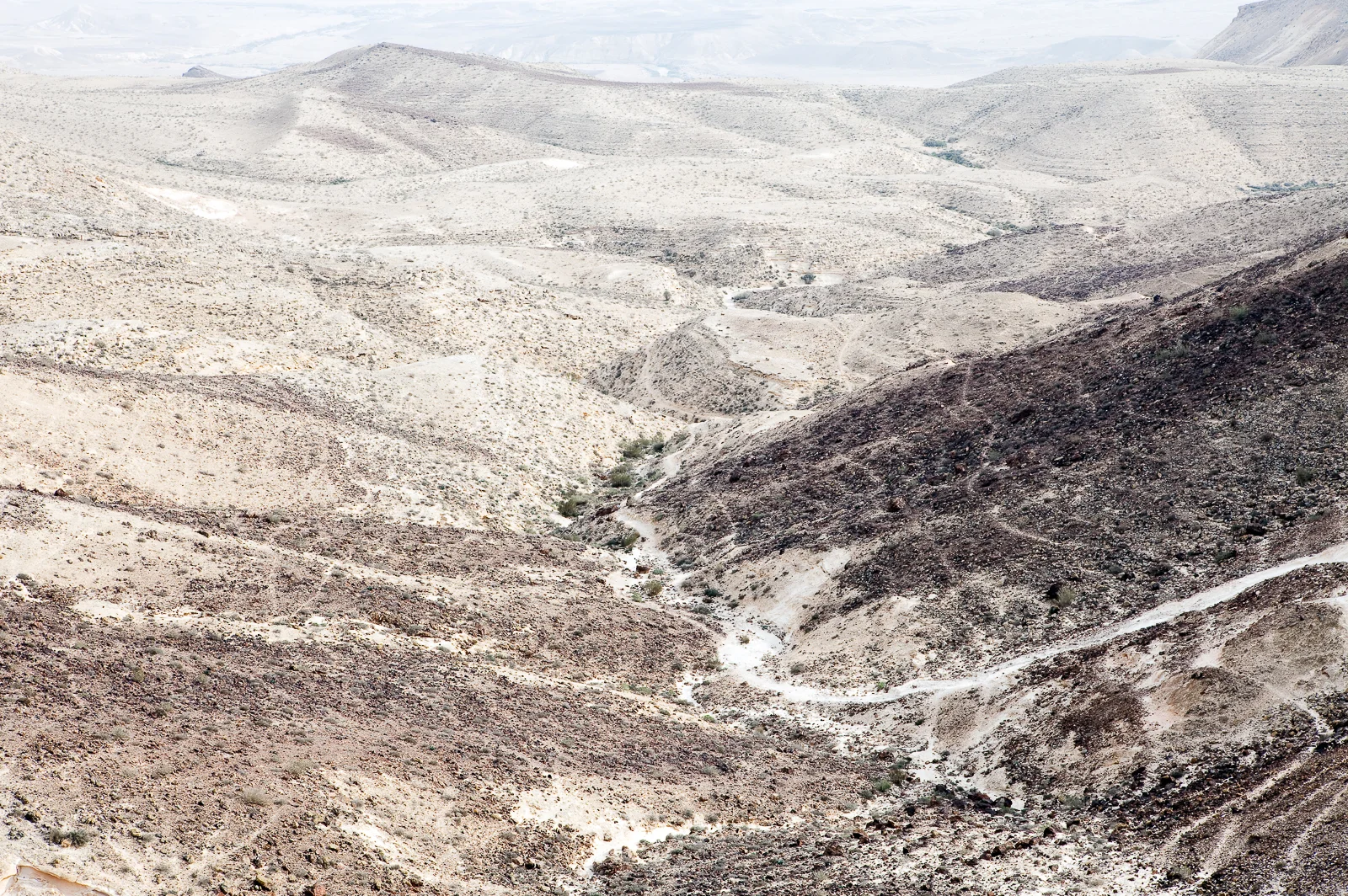 Desert (1 of 1).jpg