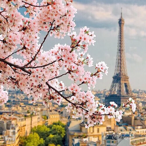 Our thoughts are with the people of Paris
