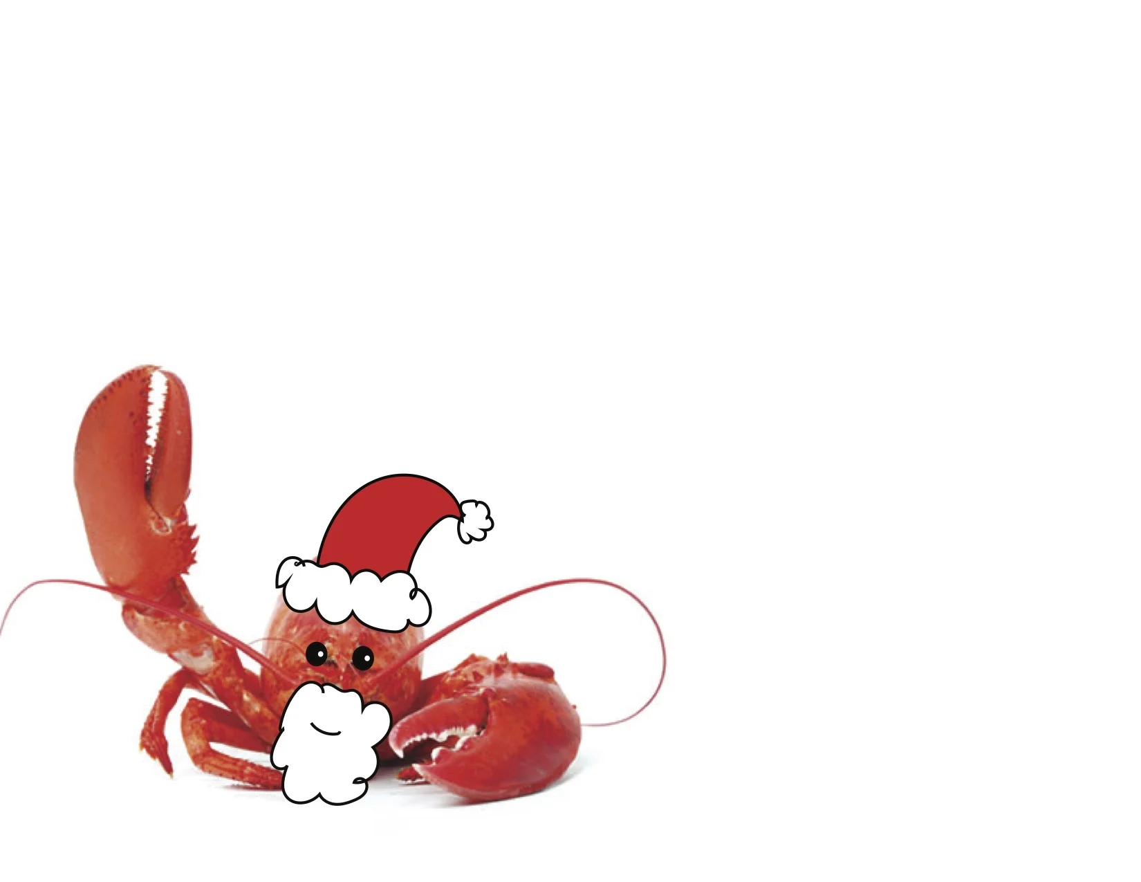 Santa Claws' Holiday Gift Guide!