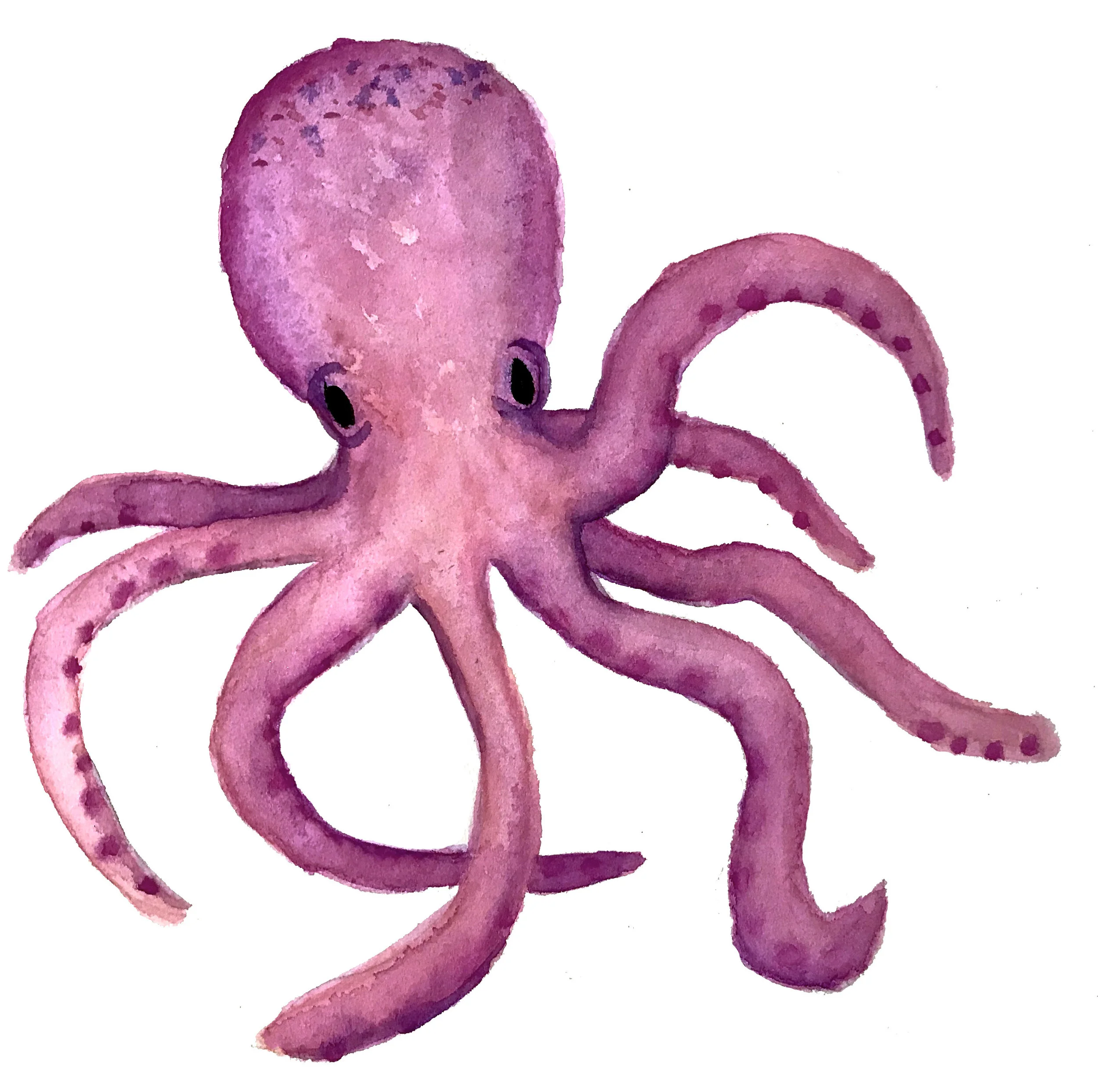 Portuguese Fish List — Best Fish Forward