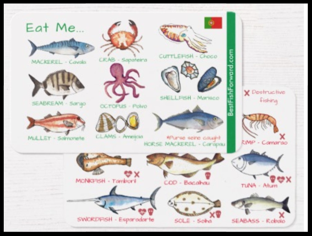 Mediterranean Fish Species Chart