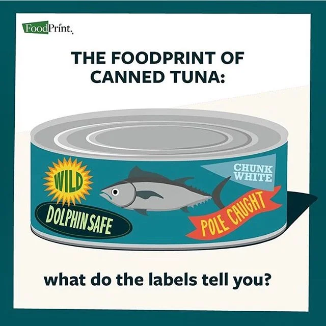 @foodprintorg put together a thorough & fantastic guide to shopping for Tuna. I highly recommend checking it out! πππ #savetheseas #eatbetterfish
