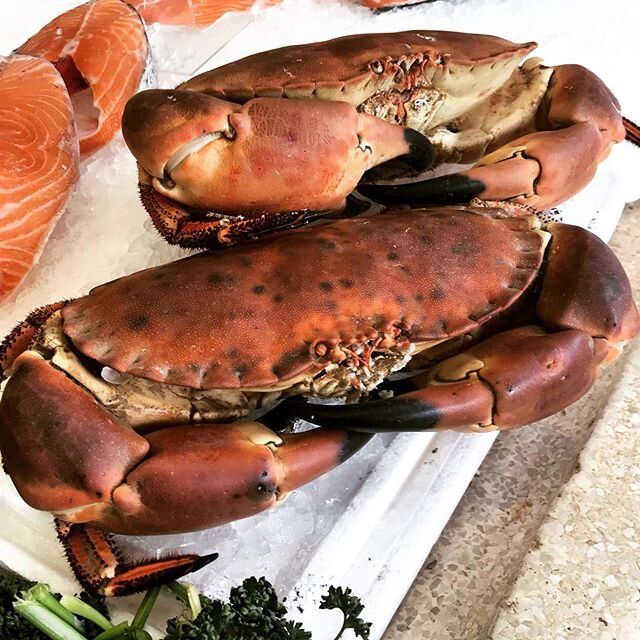 Happy chunky local crab vibes up in Crouch Hill. Will be coming back to taste! 🦀 #eatlocalfish