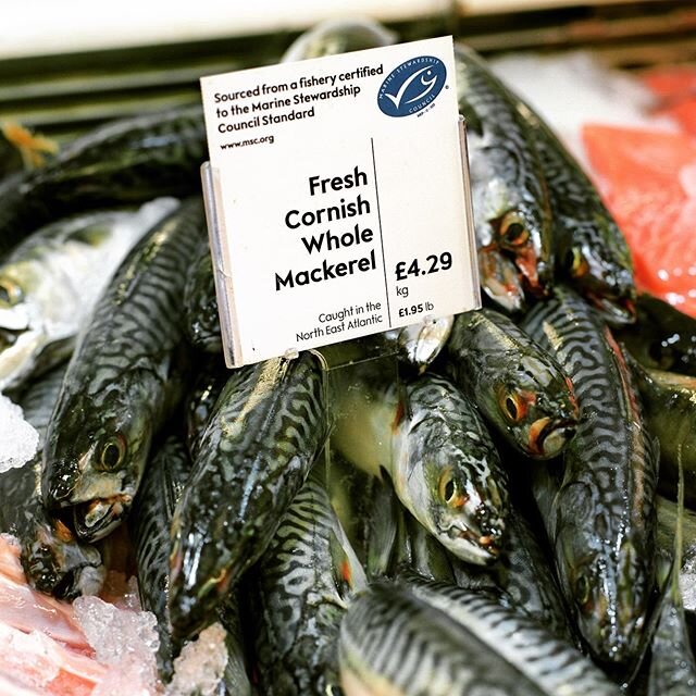 Are you stuck on where you start when picking fish at the grocery store? If you&rsquo;re in the UK or Europe, look out for the @mscecolabel on the packaging! This will ensure the fish is wild, traceable &amp; sustainable. 🙌 The MSC blue fish label i