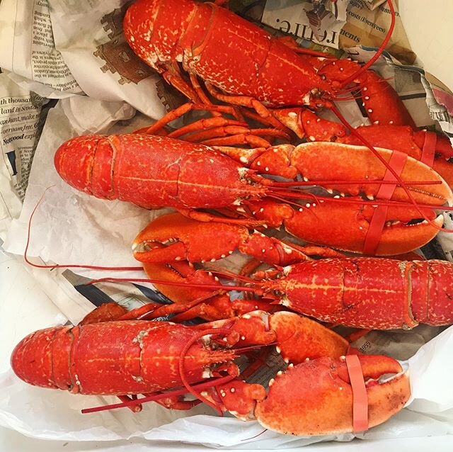 Lobster season has just begun this month in the UK. Look out for &ldquo;Pot caught&rdquo; lobsters. 🦞❤️ Get your tasty crustaceans now from your local fishmonger!