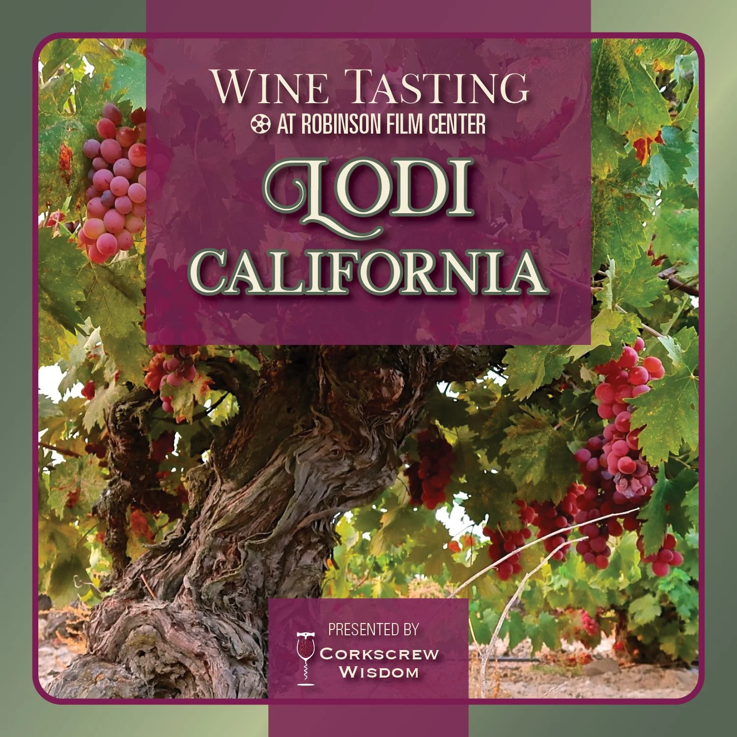 LODI Wine Sq.jpg