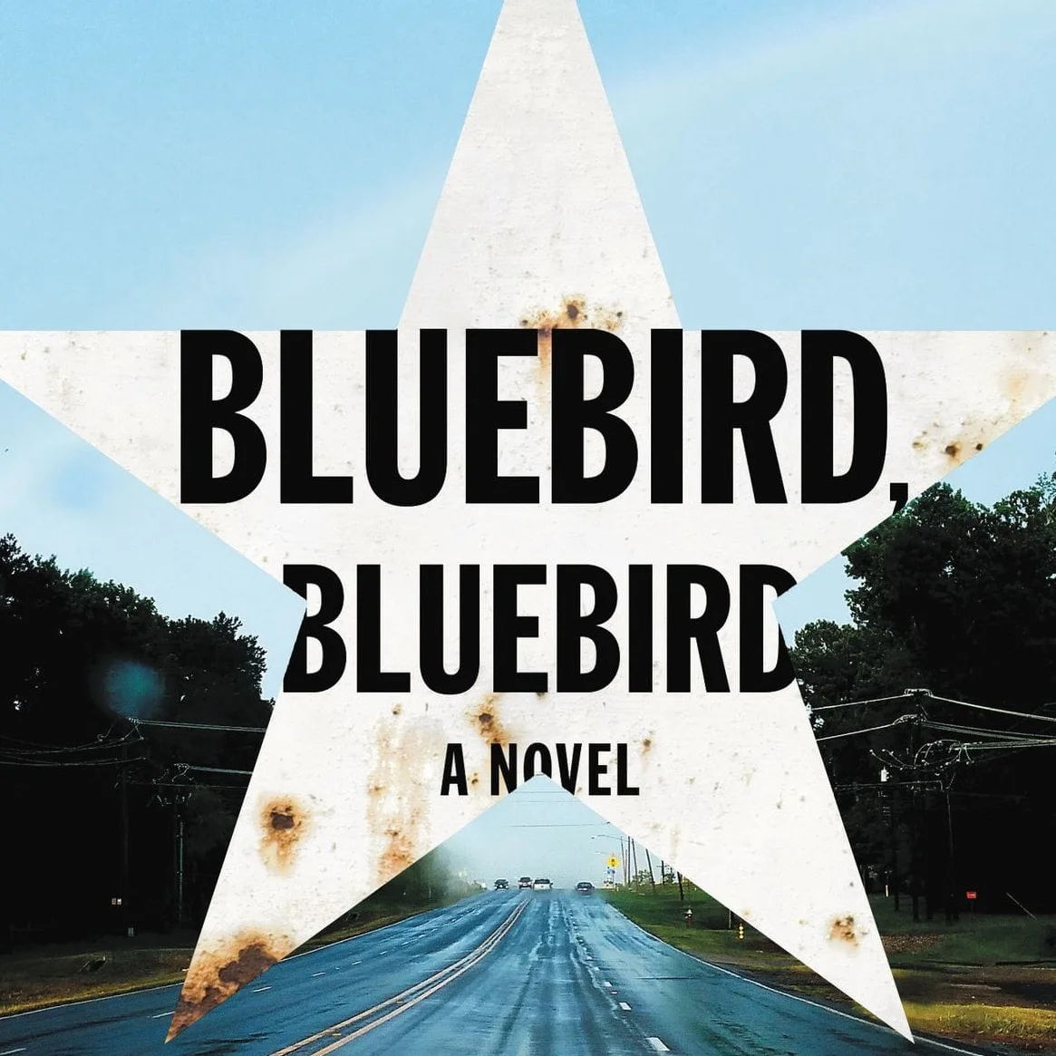 BluebirdBluebird.jpg
