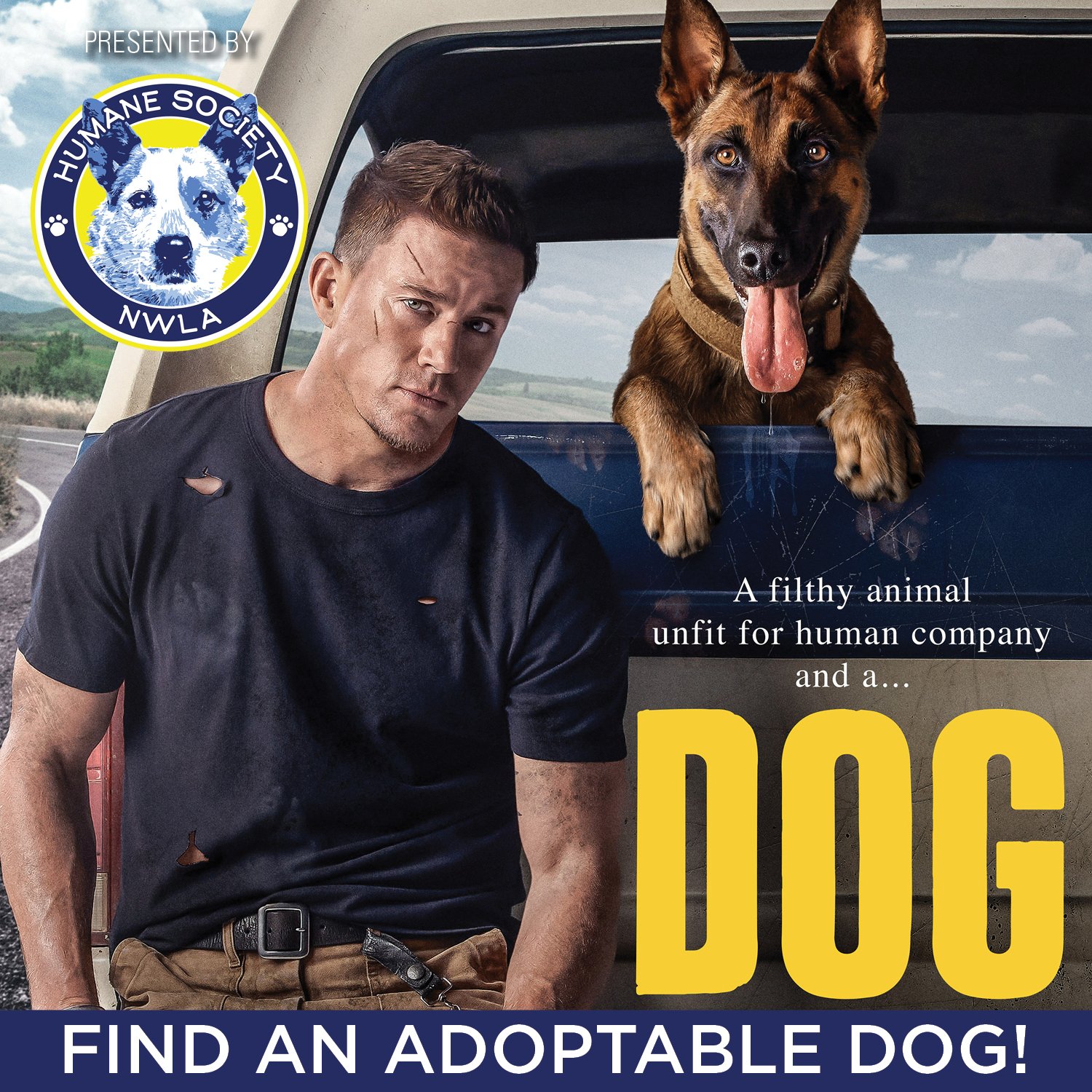 DOG sq.jpg