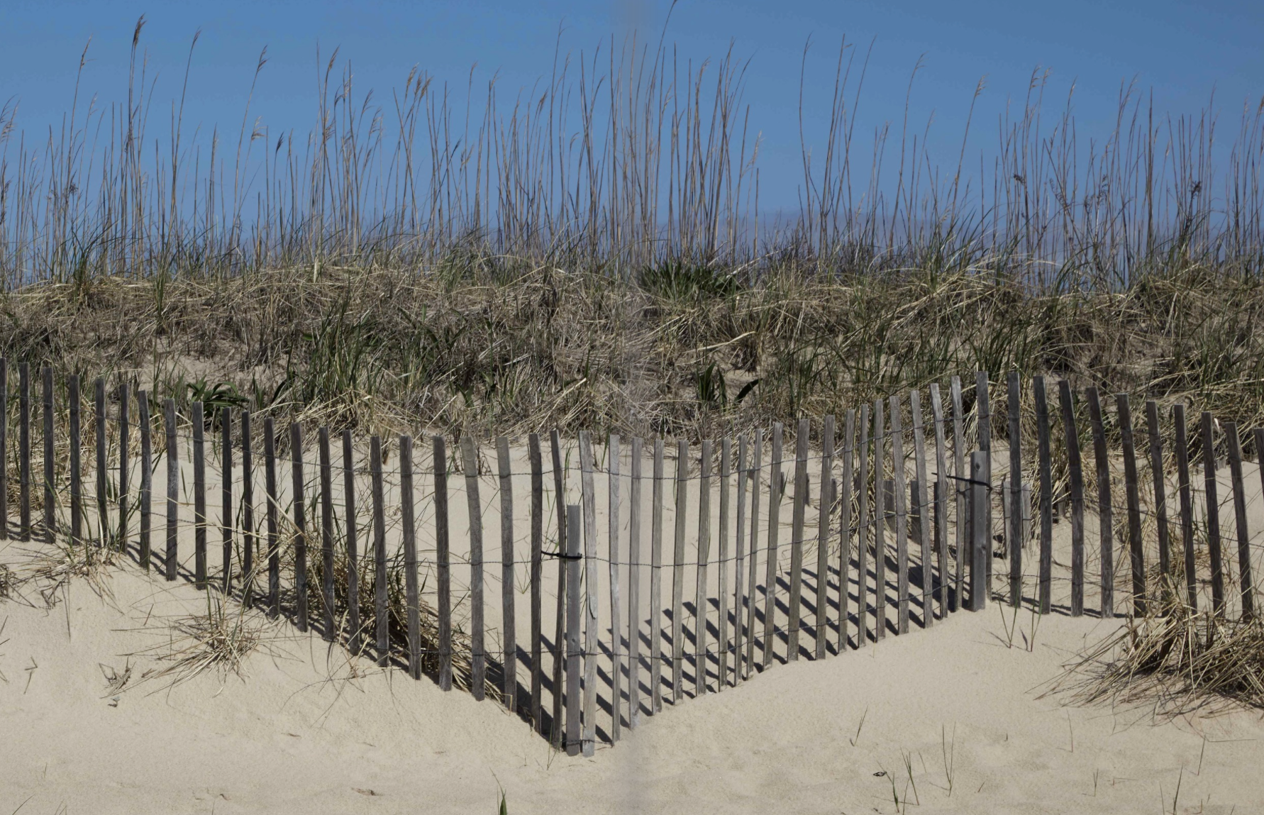 Screen Shot 2017-06-01 at 6.55.50 PM.png