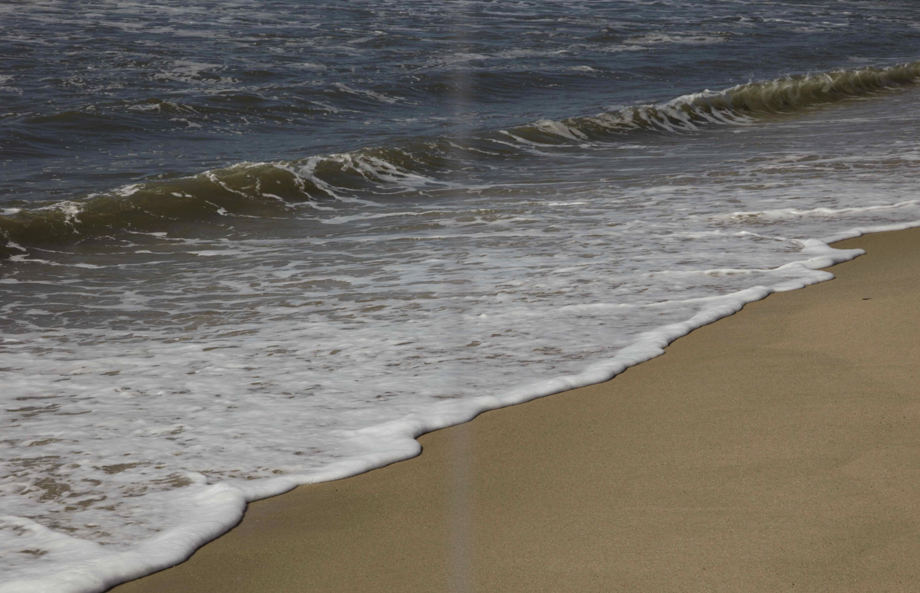 Screen Shot 2017-06-01 at 7.07.48 PM.png