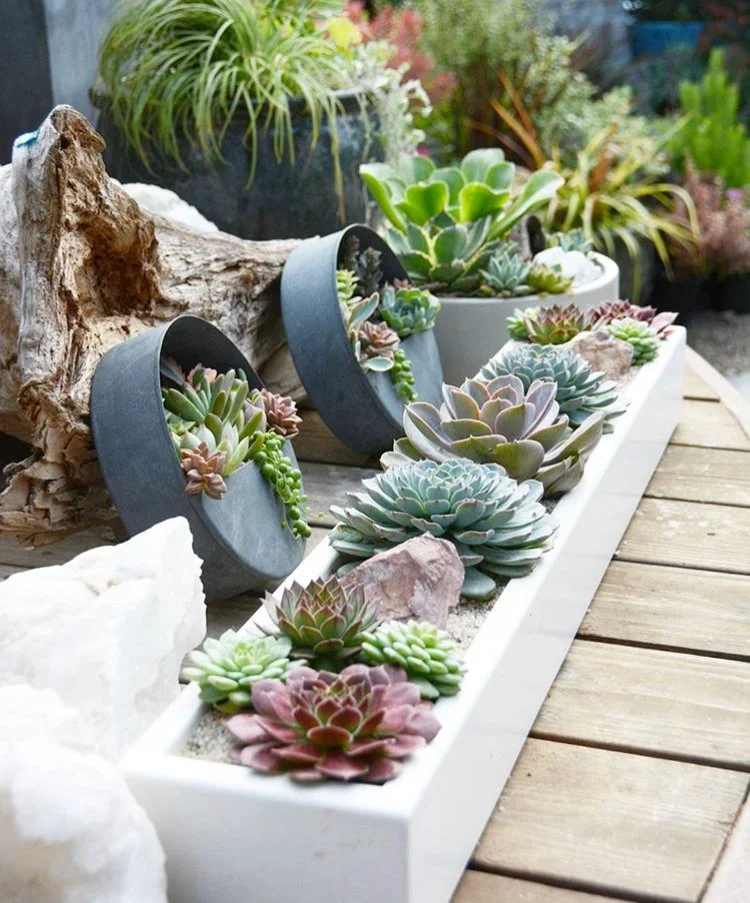 36-inch handmade concrete planter filled with succulents, displayed at a retail nursery for sale