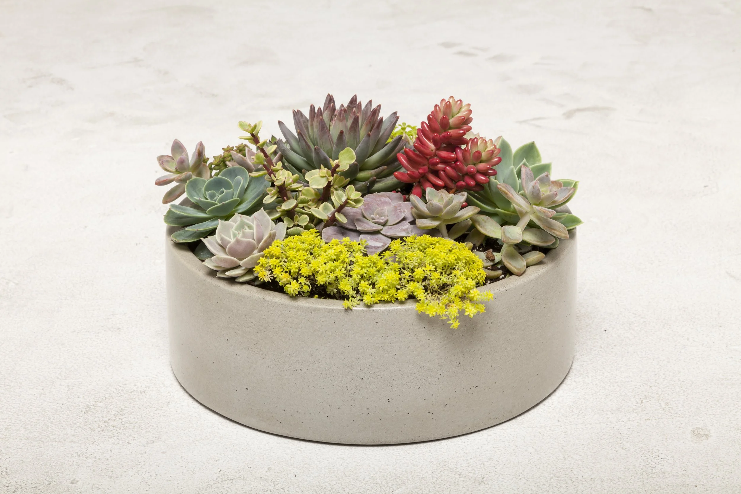 12%22 Bowl Natural Cover.JPG