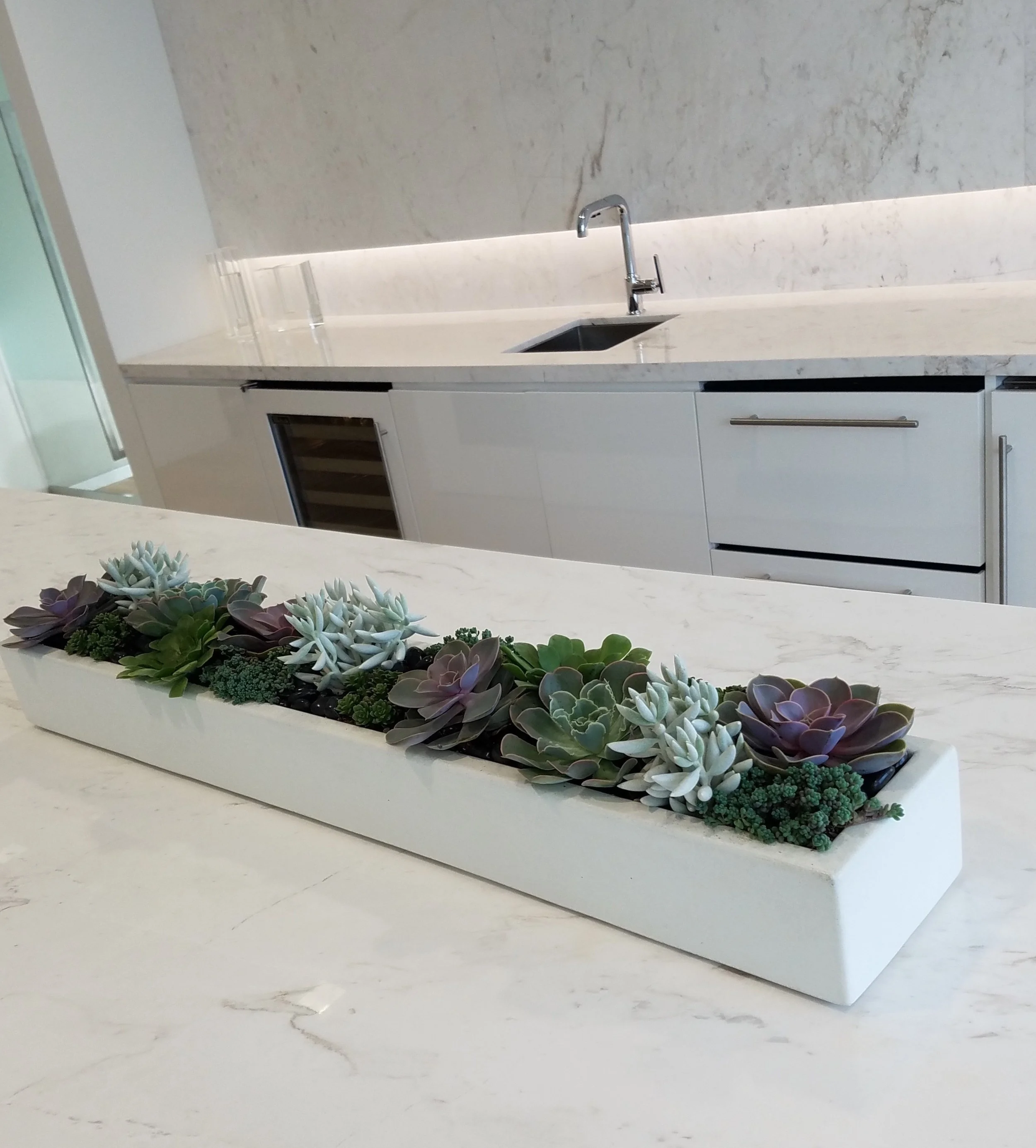36-inch white concrete planter installed on a white marble kitchen island, brimming with succulents, emphasizing clean minimalist aesthetic