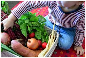 veg.png
