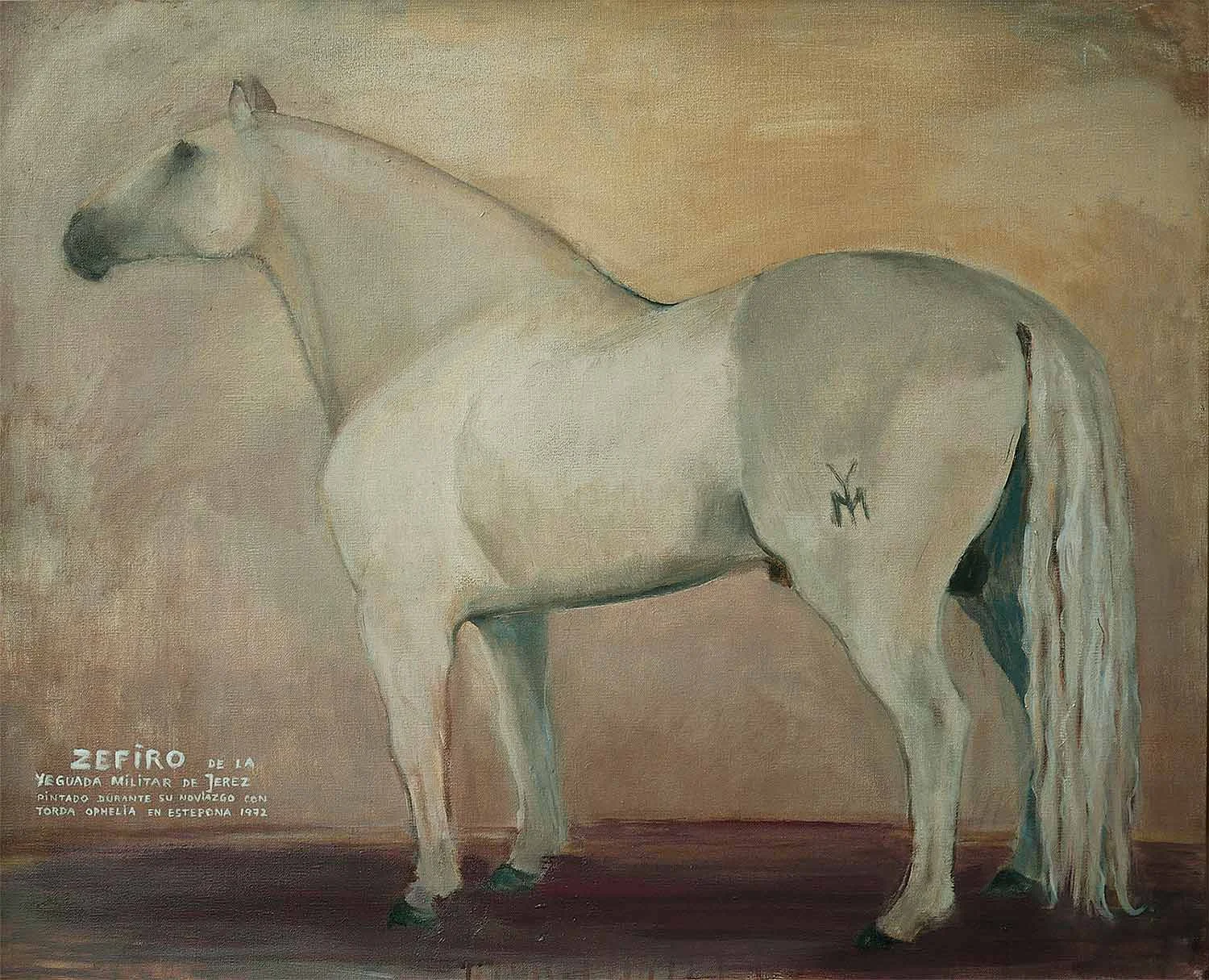 Hingsten Zefiro