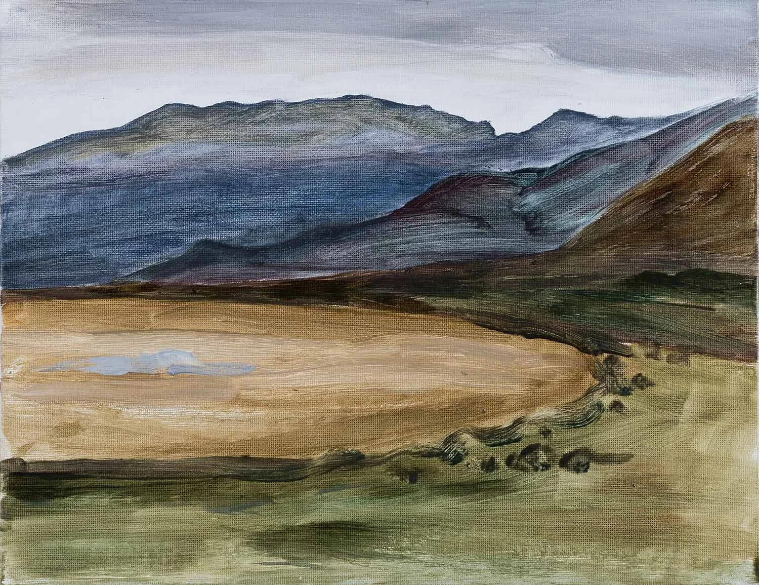 Liten fjellstudie 2