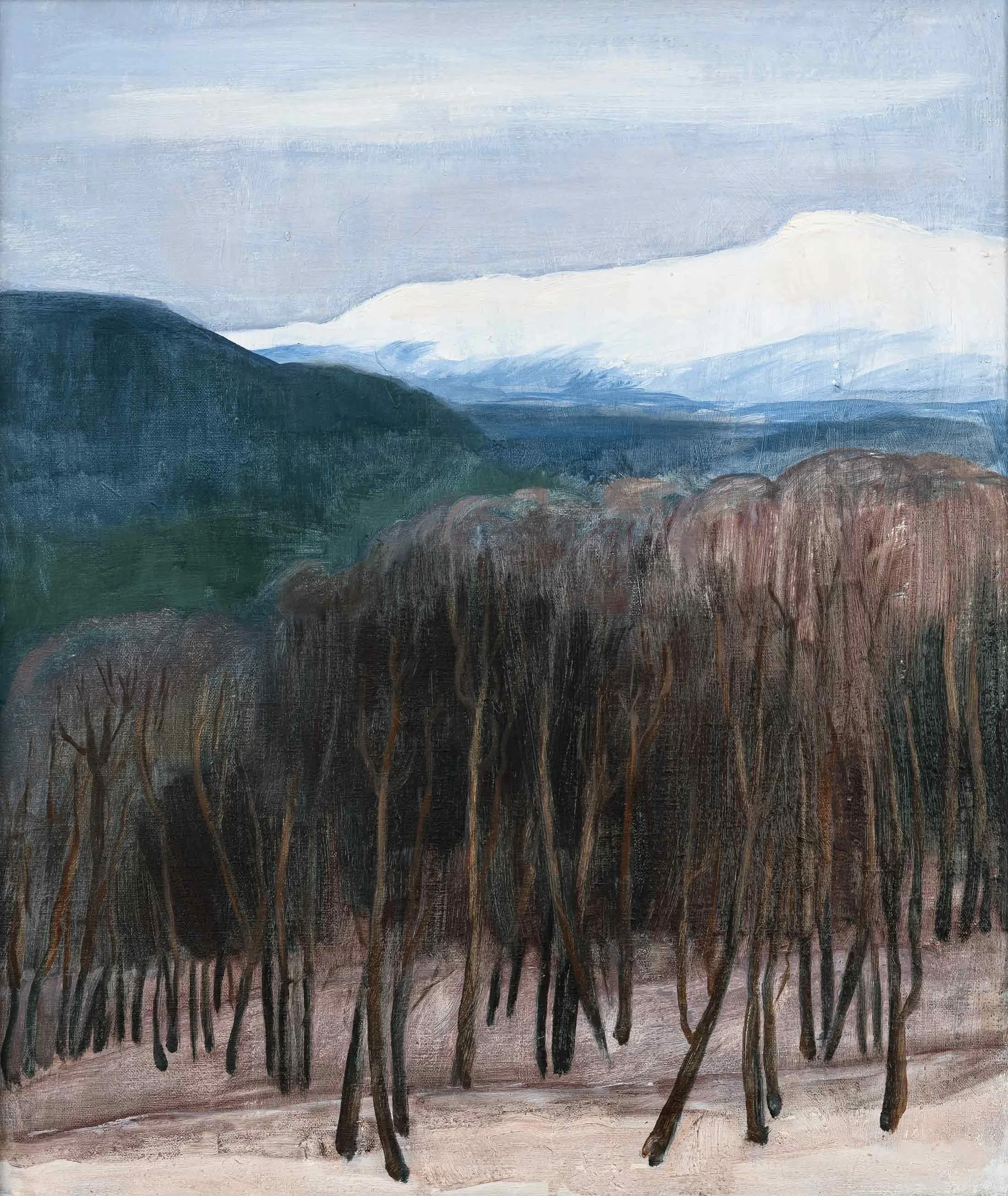 Fjell 1