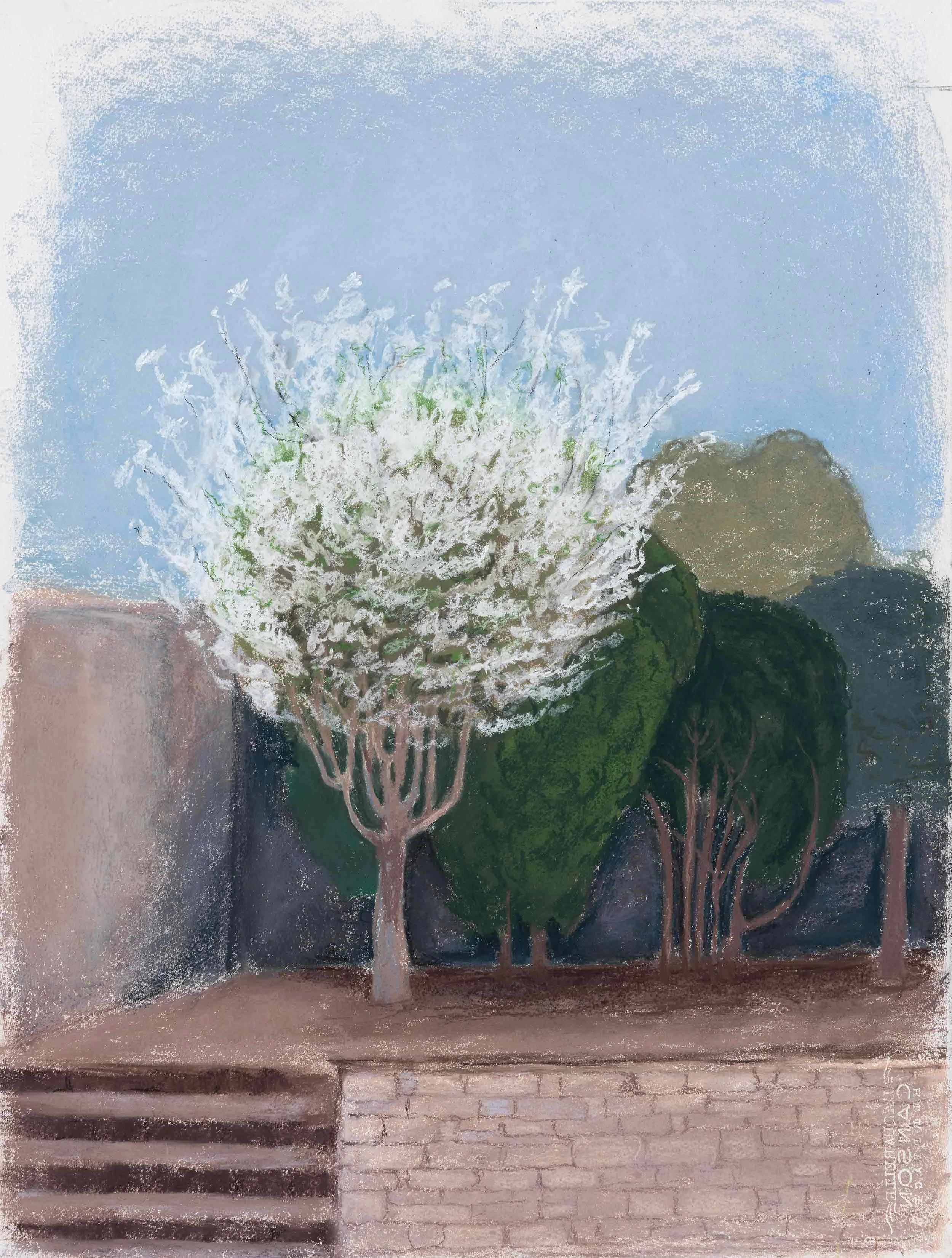 Hille tre i blomst