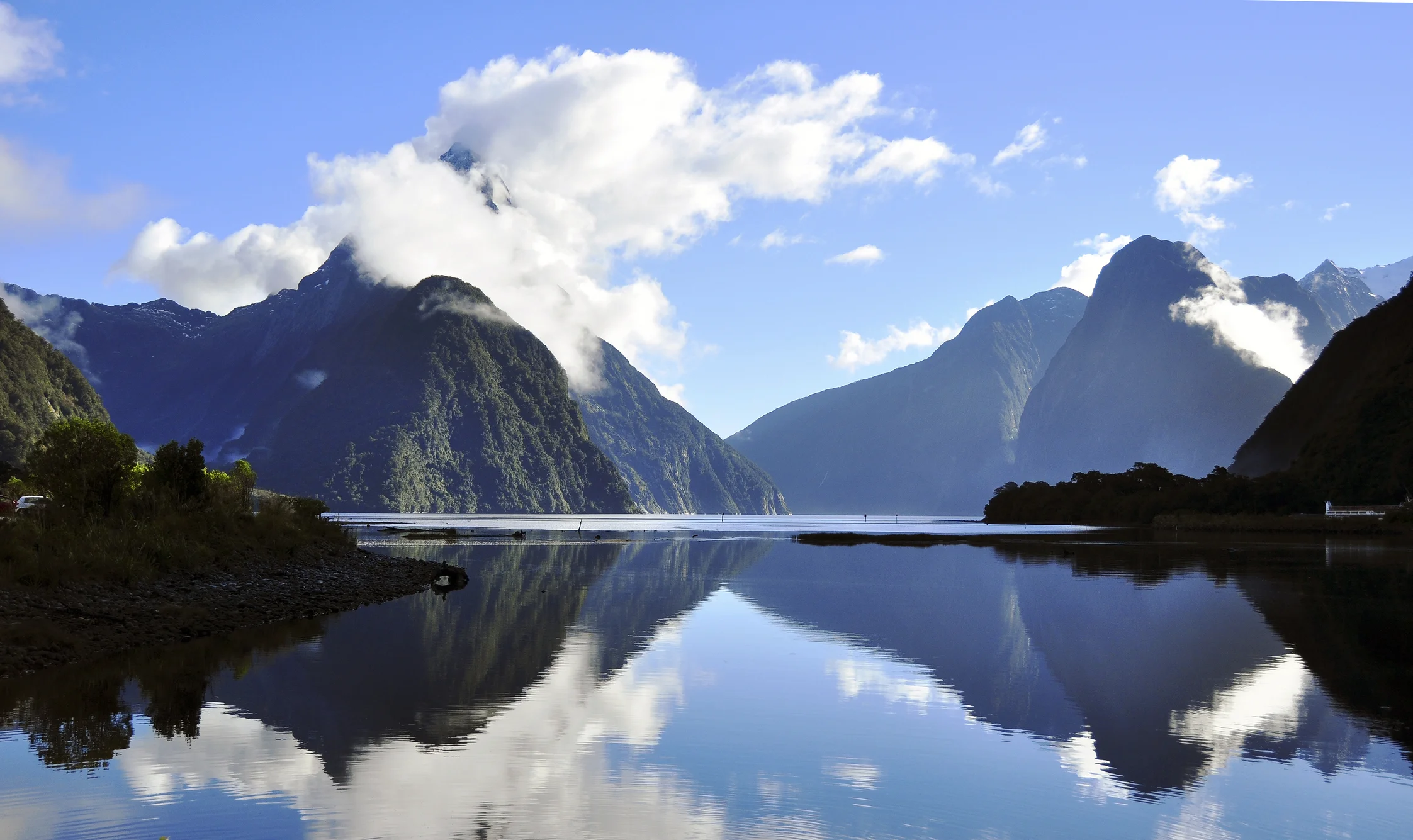 Photo by wldk_99/iStock / Getty Images