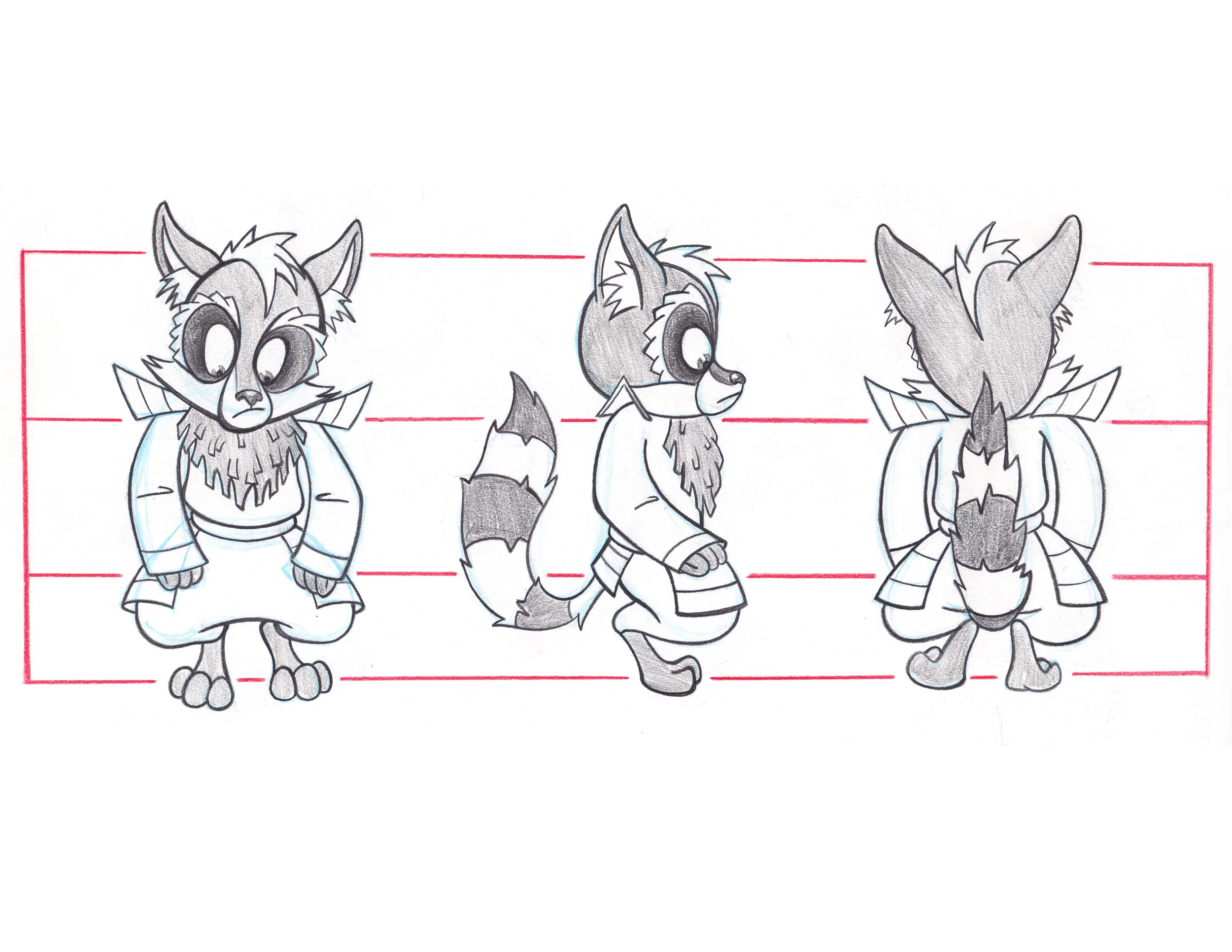 RaccoonRotation.jpg