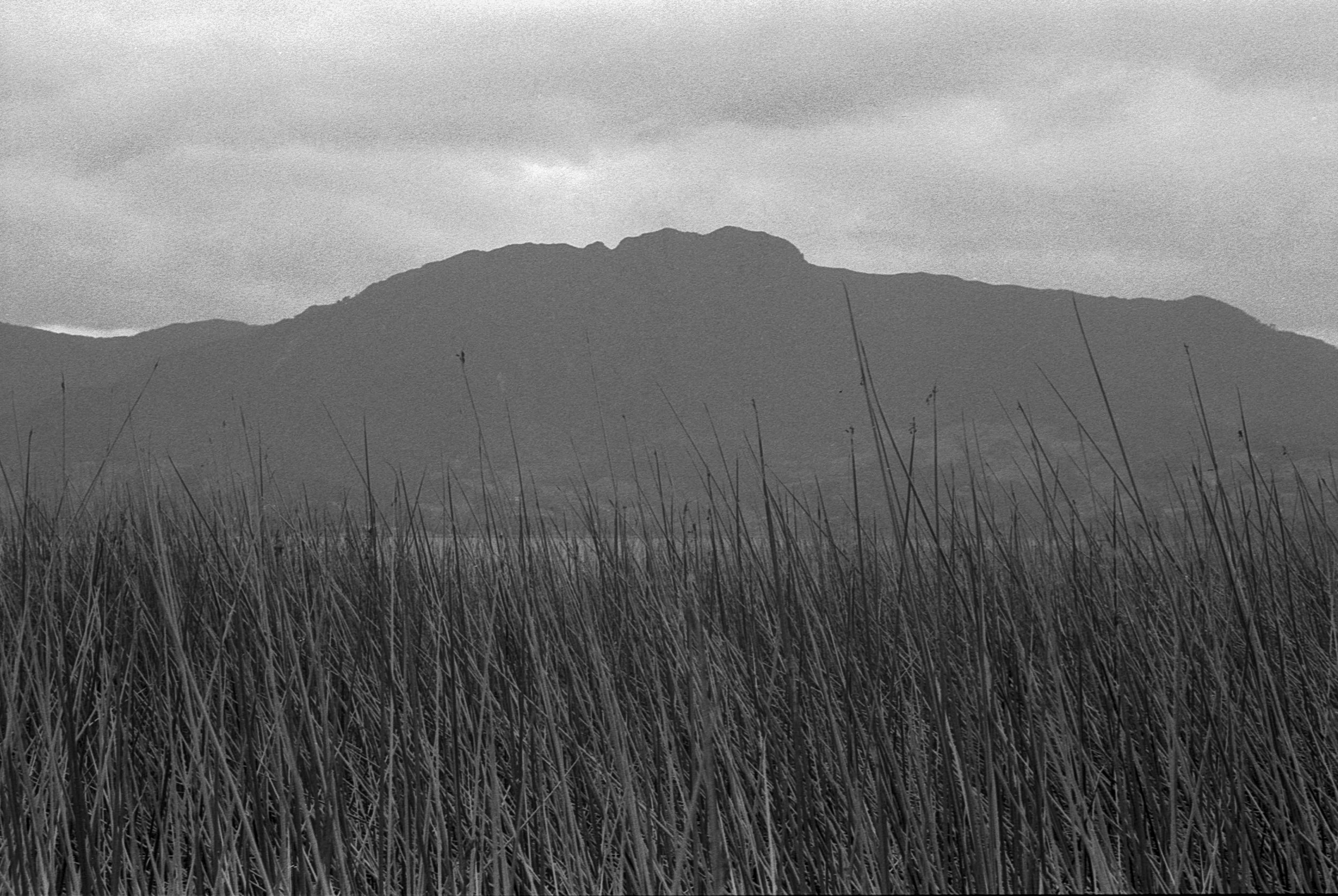 20240718-Image 11-2Colombia 35mm.jpg