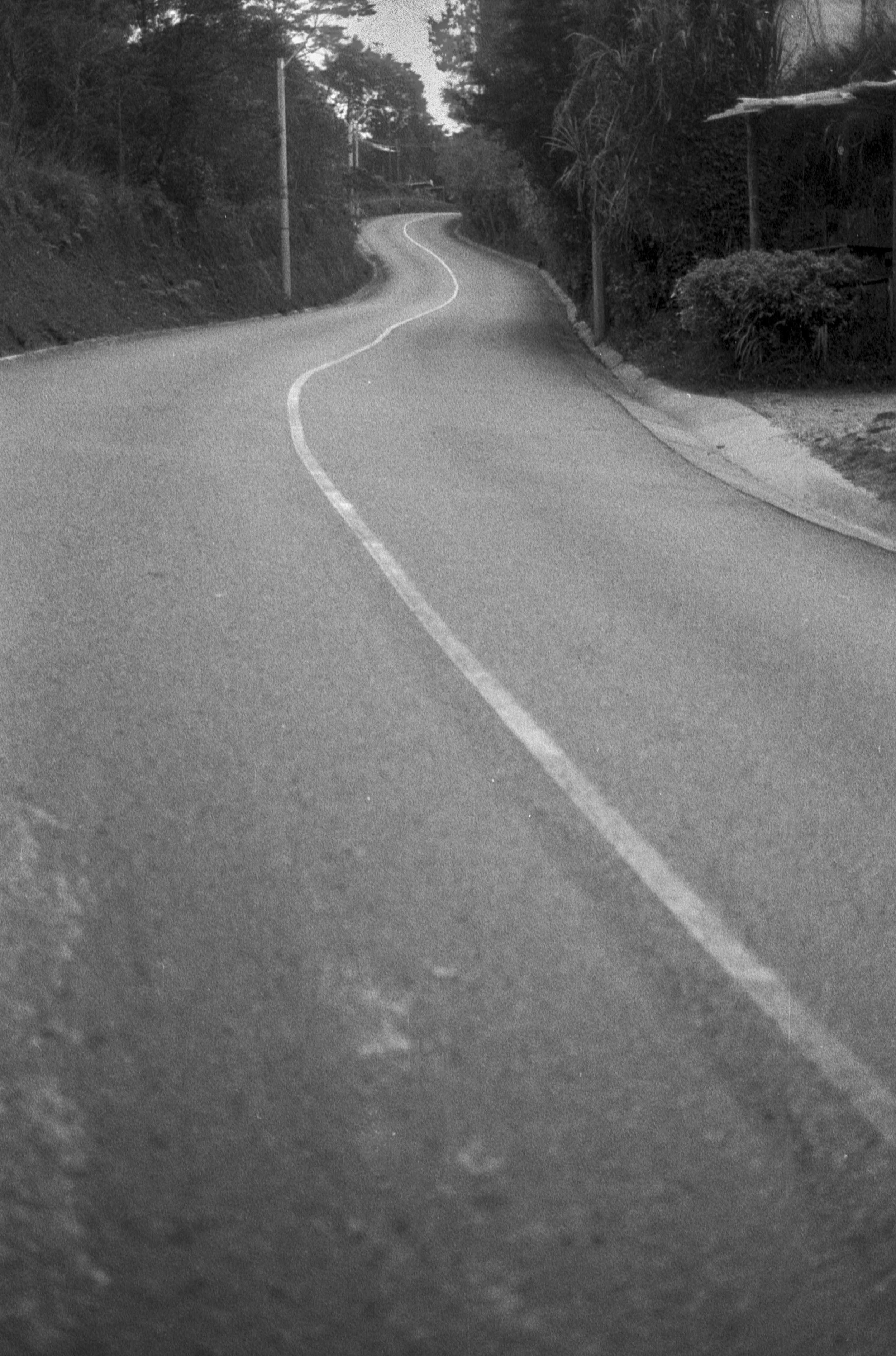 20240718-Image 27Colombia 35mm.jpg