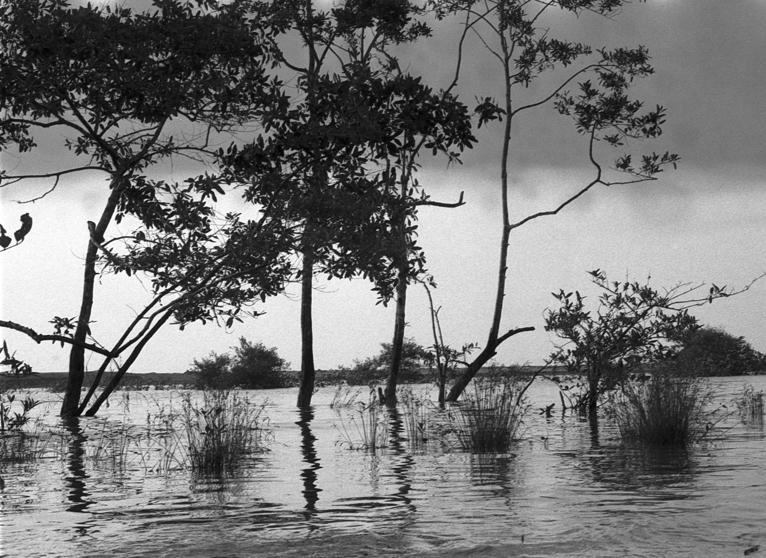 20240719-Image 13-2Colombia 35mm.jpg